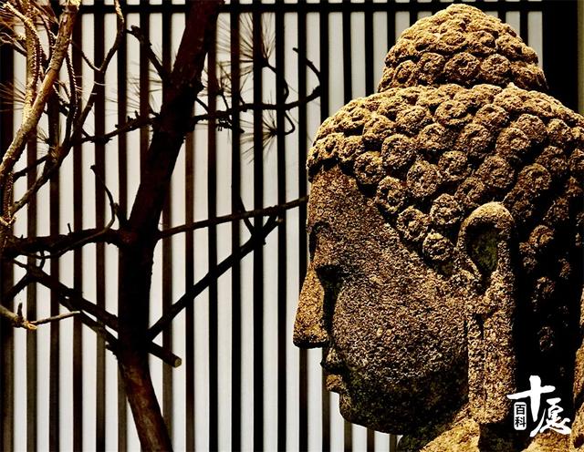 盛宴大师：只有当你有了情感，你才能过上幸福的生活？苗野