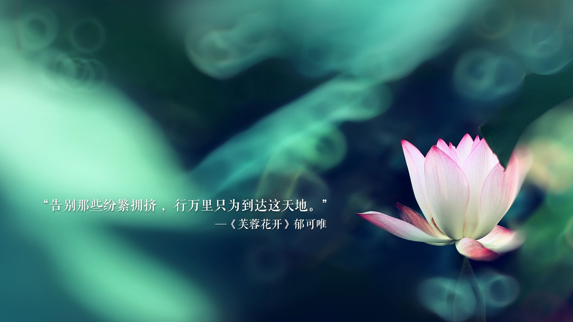 测字-测字解字