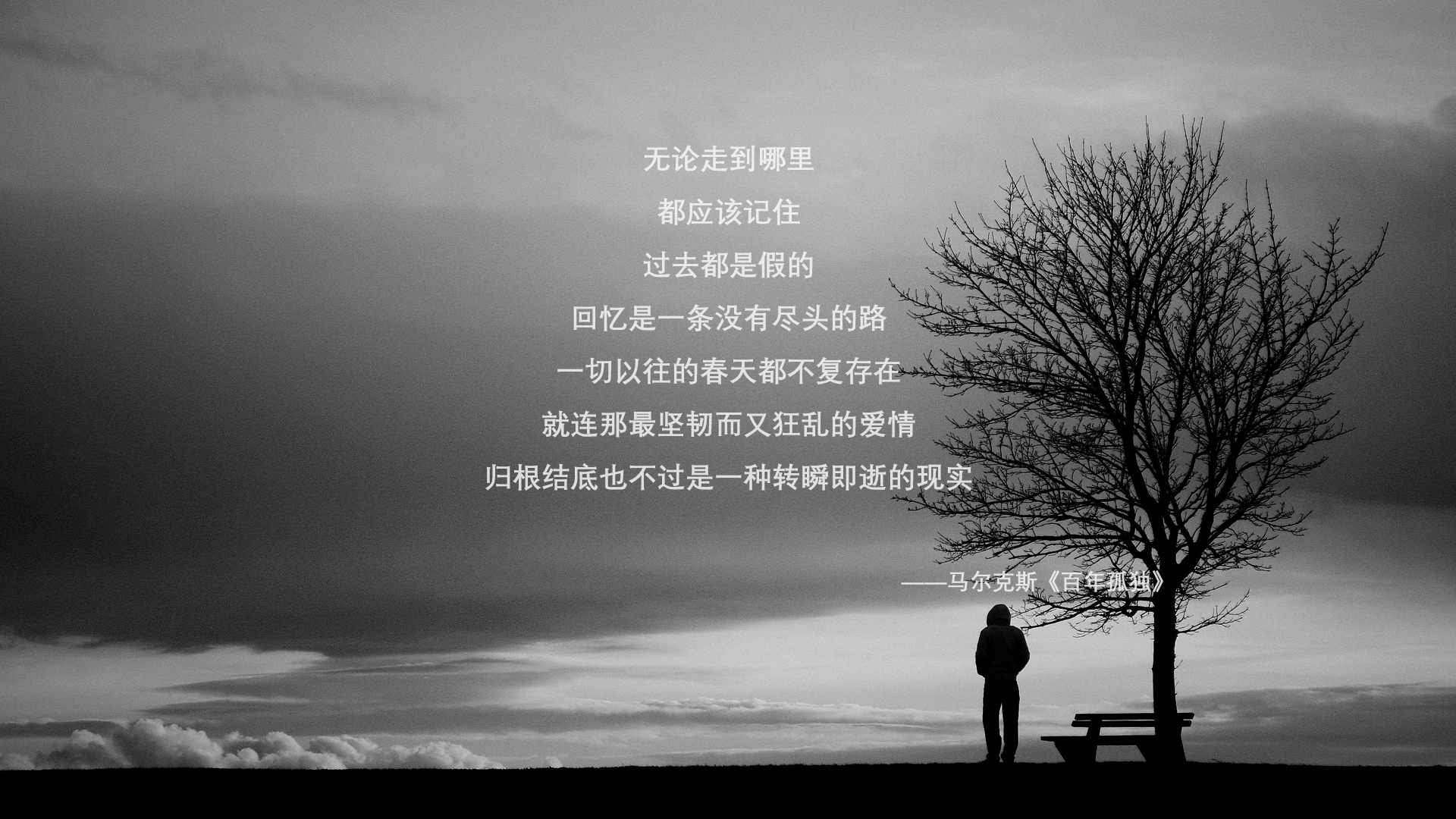 金丝熊多大可以繁殖-金丝熊多大可以繁殖图片