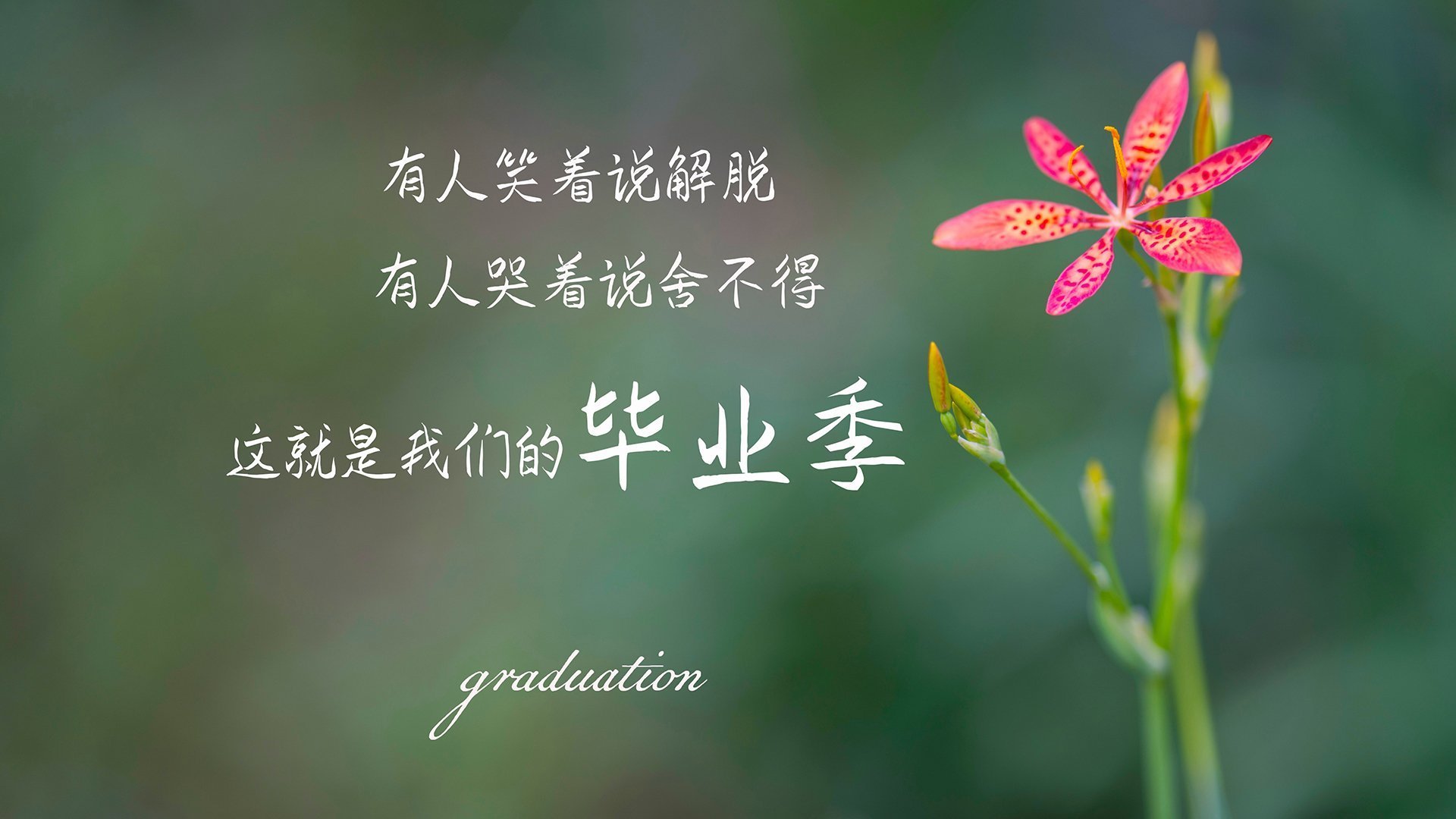 冰箱哪个档位最冷-海信冰箱哪个档位最冷