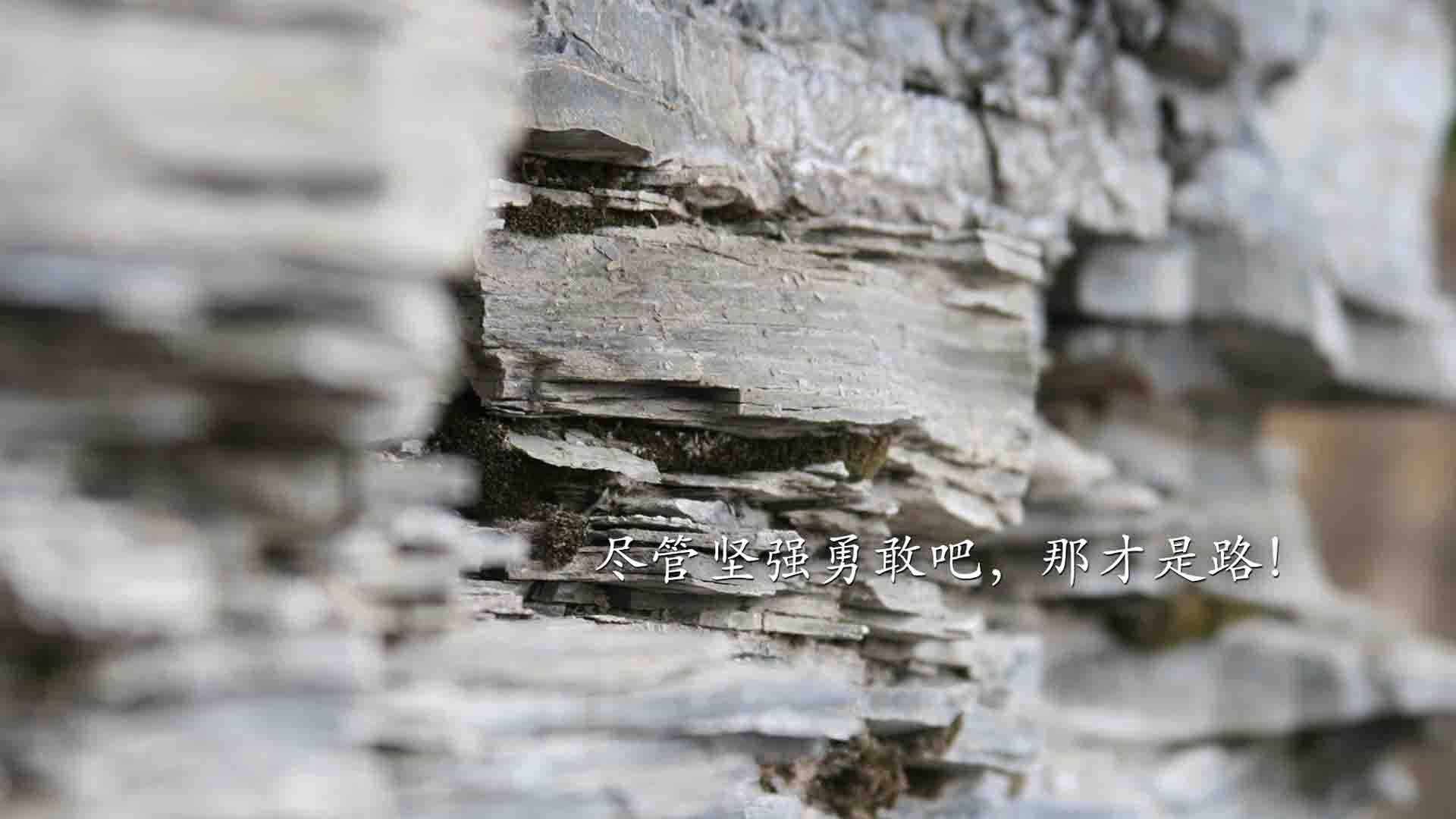 如何让行程码不记录行程-如何让行程码不记录行程数据