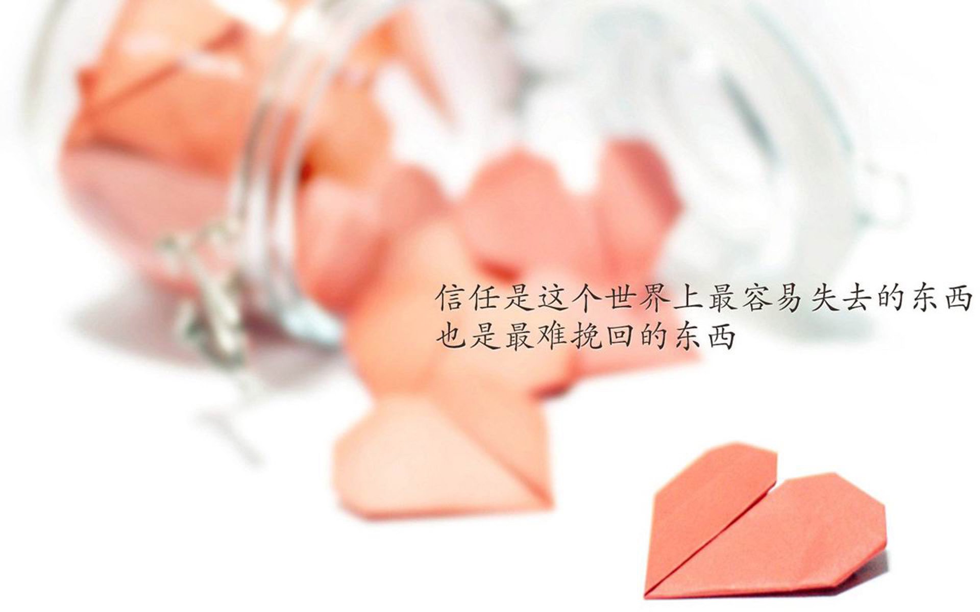 成员关系填什么-成员关系填什么 之父还是之女