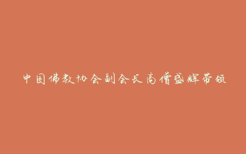 中国佛教协会副会长高僧盛辉带领博学的僧侣们种植水稻，体会劳动的乐趣