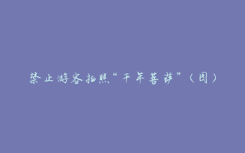 禁止游客拍照“千年菩萨”(图):当他们出现在广东时,身体没有腐烂