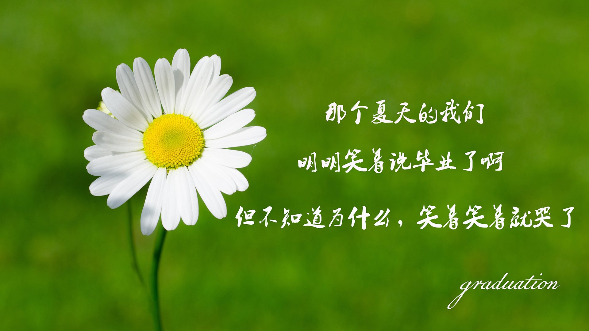 baidu风云榜-百度风云榜无法划分