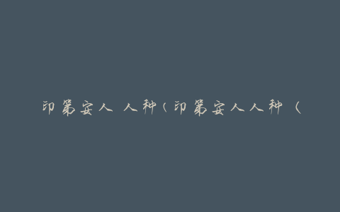 印第安人 人种(印第安人人种（历史、文化、遗传特征）)