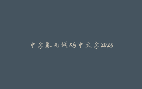 中字幕无线码中文字2023